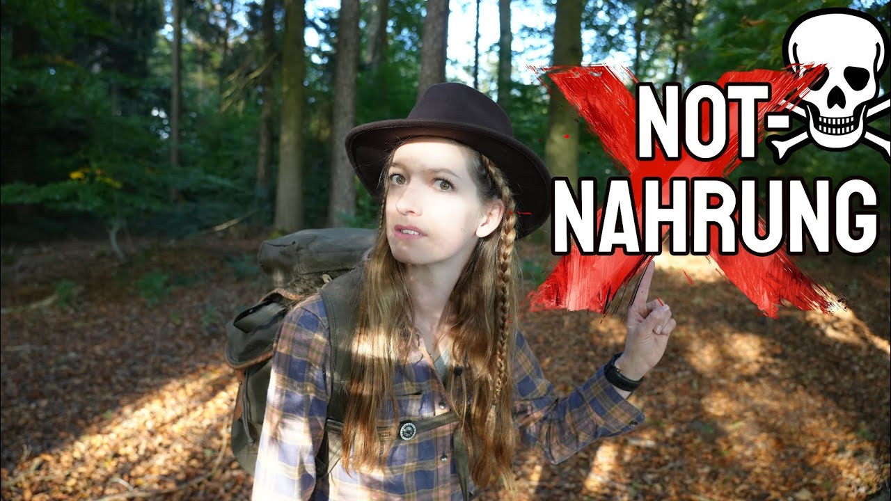 ☠️ Tödlich!   Das bringt dich in einer #survival  Situation um!😲​​Die Eibe💀