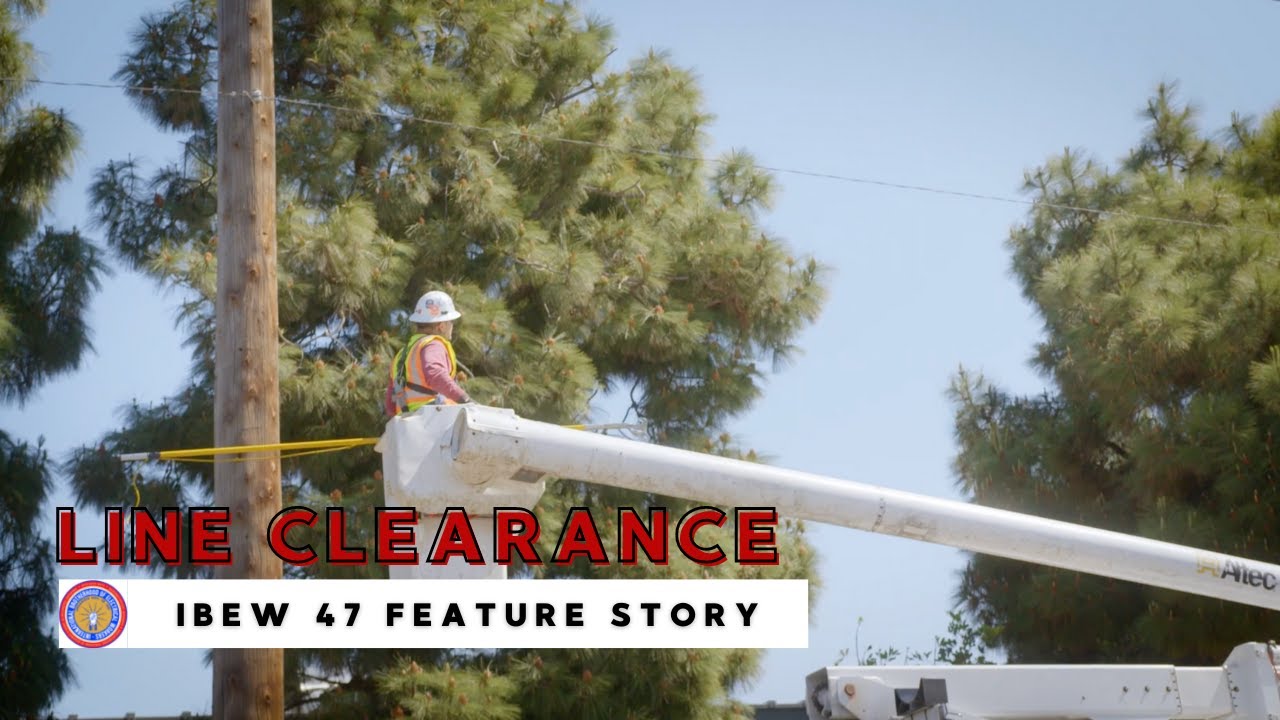 IBEW Local 47 Feature Story: Line Clearance