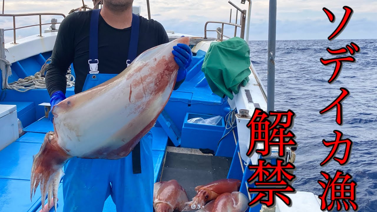 Запрет на ловлю кальмаров-ромбовидных наконец-то снят! Бросьте вызов Ассоциации рыболовства префе...