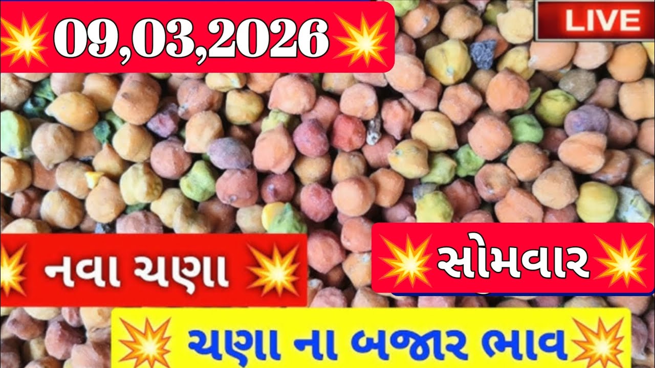 ચણા ના બજાર ભાવ લાઈવ / ગોંડલ ચણાના બજાર ભાવ /  ચણાના બજાર ભાવ / 09,03,2026