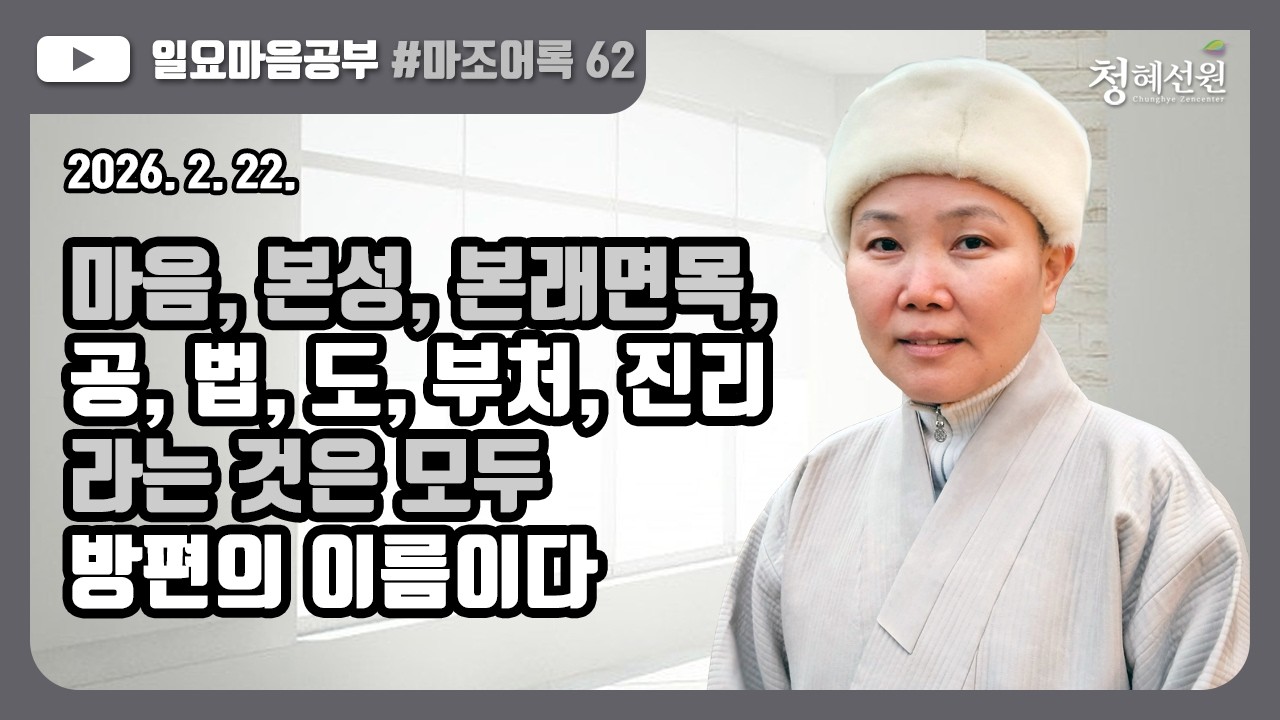 2026.02.22. [청혜선원] 일요공부ㅣ마조어록 제 62회  제3부 24. 도에 합하다  