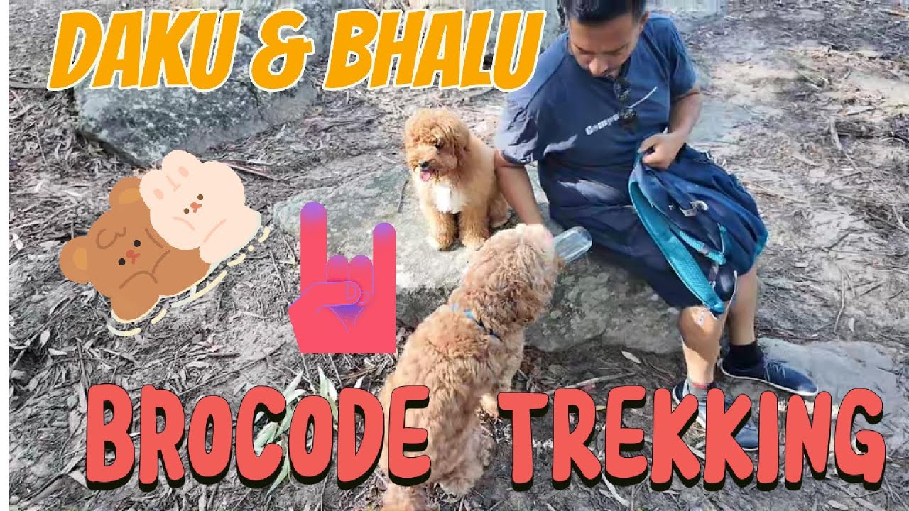 Daku & Bhalu went Trekking!