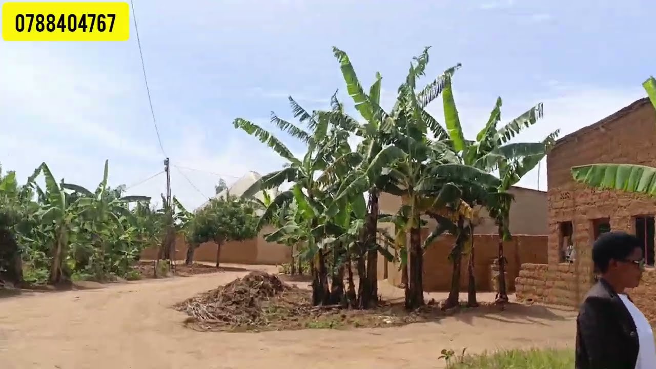 IBAZE 3.3M IGURIRE IKIBANZA KIZA MUTATION HAFITE UBUSO 300 HARATUWE /BUGESERA Y'UBUDASA 