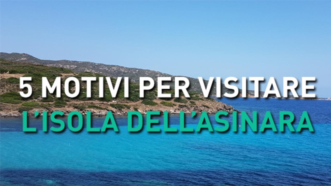 5 motivi per visitare l'isola dell'Asinara