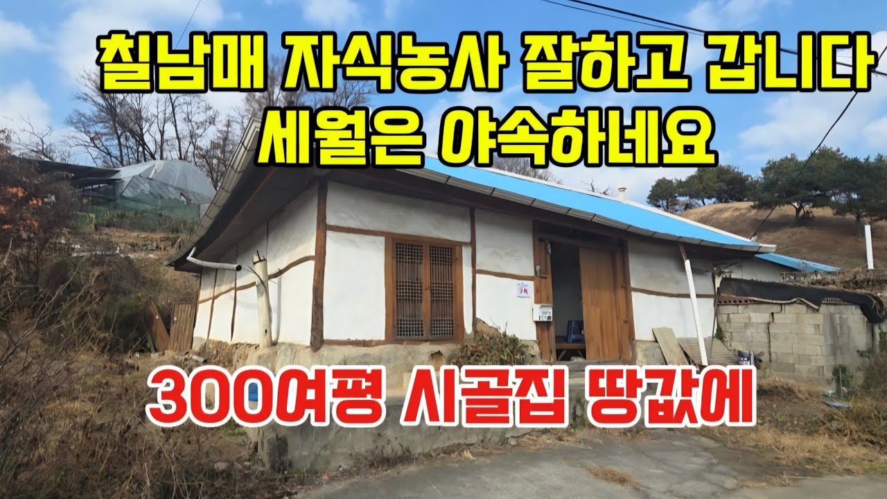 써까래가 으마으마하네요 . 1800년대 마을 부잣집 고택 할아버지 할머니 자손대대로 잘~살아온 집입니다  300여평 토지 그냥 가져가는 금액대 입니다.