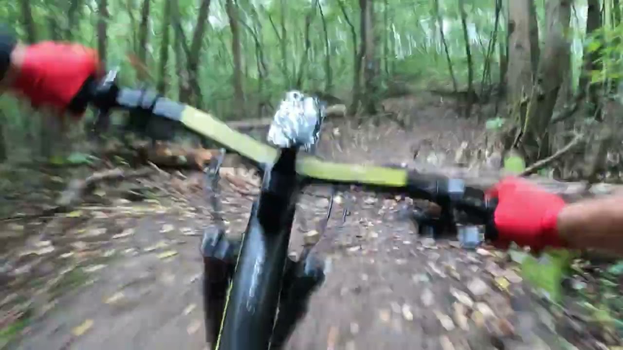 Objazd WAT XC Niebieska