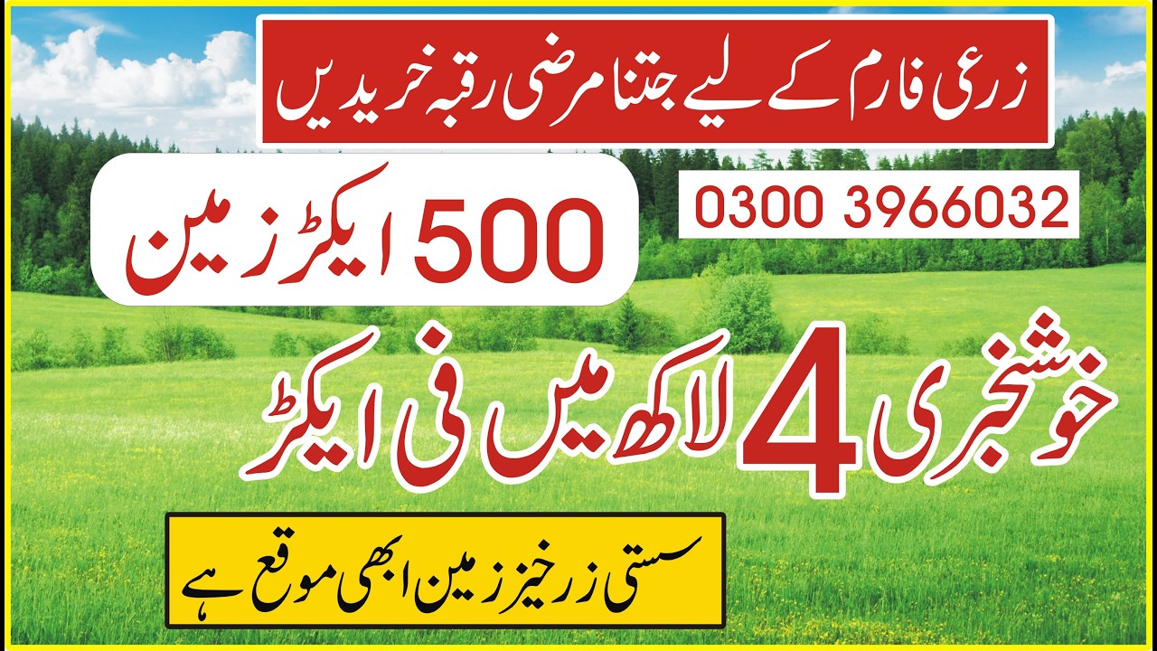 فی ایکڑ 4 لاکھ Agricultureland for sale 0300 3966032| Land for sale | cheapland for sale in Pakistan