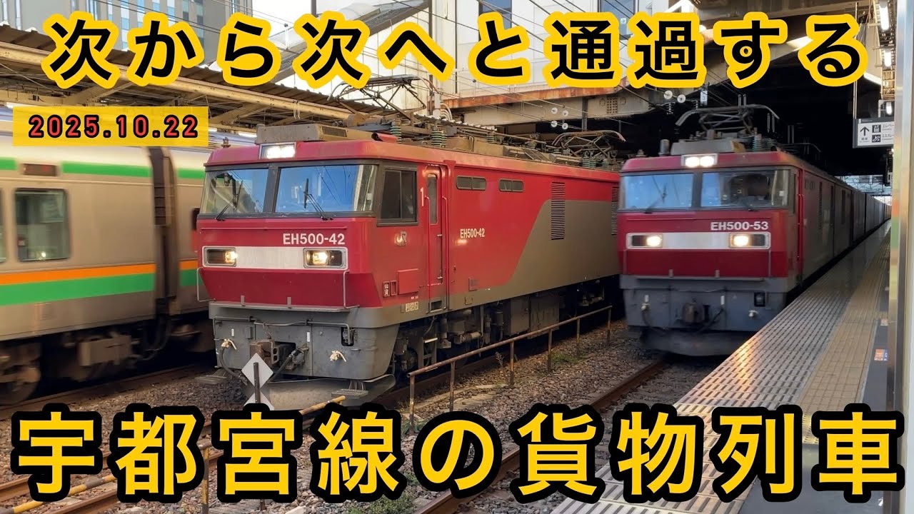 宇都宮線 貨物列車14本　夜明け〜早朝の小山駅を次々と高速通過！　EH500  EF210