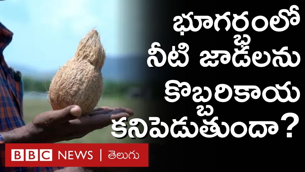 Ground water: చేతిలో కొబ్బరికాయ, చెంబులో నీళ్లు భూమి లోపల నీటి జాడను పసిగడతాయా ?| BBC Telugu