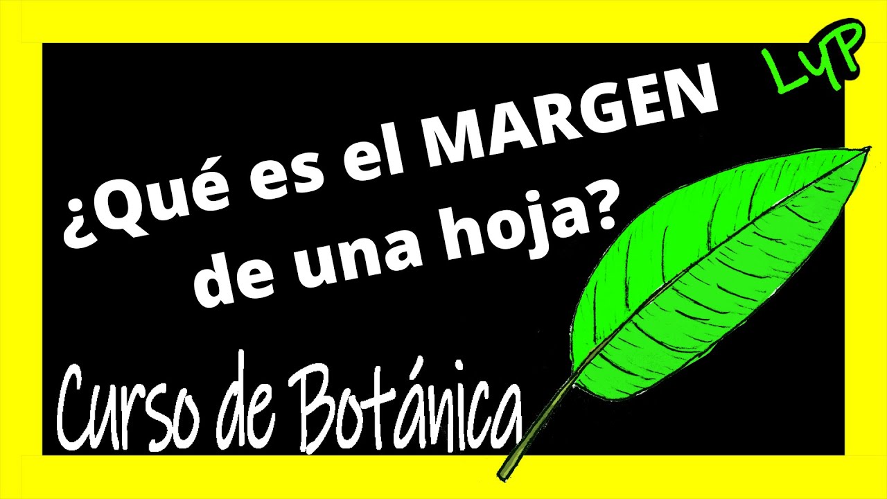 🔥Curso de Botánica 🌱Que es el MARGEN?🌿🍂🍃 Partes de las Hojas de las Plantas 🌼  Ecología Biología