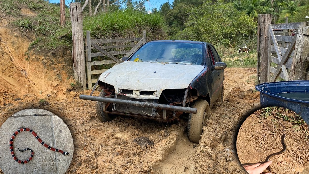 TENTEI SUBIR NO RANCHO DA MONTANHA COM O PALIO (ENCONTREI DUAS COBRAS).