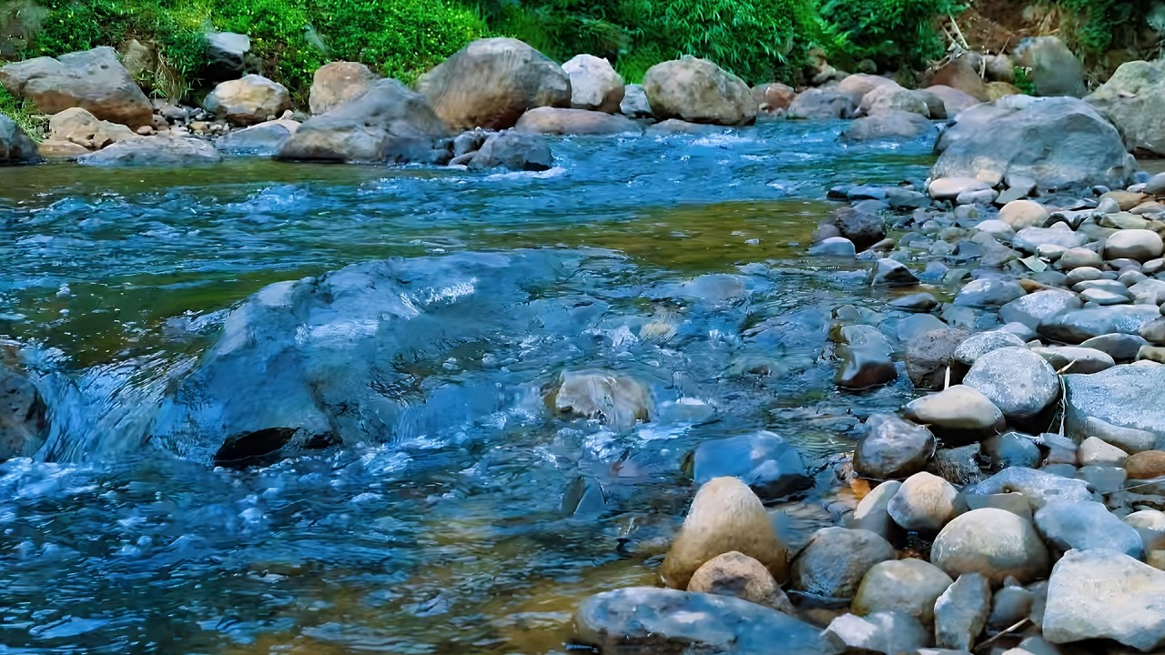 Beautiful Flowing River Sounds and Bird Chirping for Deep Sleep, Study Focus, Meditation & Medicine