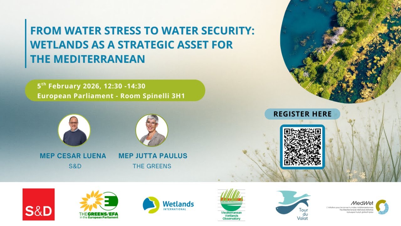 From water stress to water security: Wetlands as a strategic asset for the Mediterranean