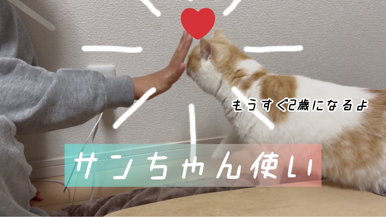 【#34】サンちゃん使いの娘　2026.02.05