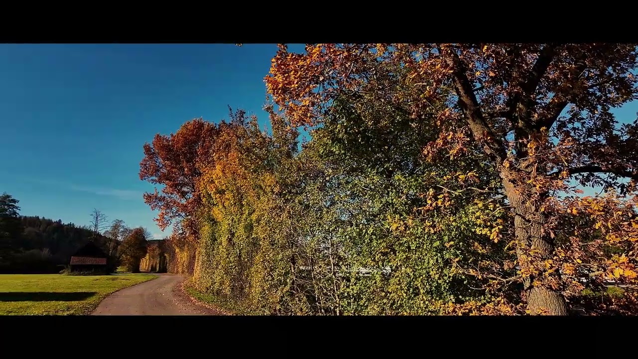 Herbststimmung (Autumn Mood)