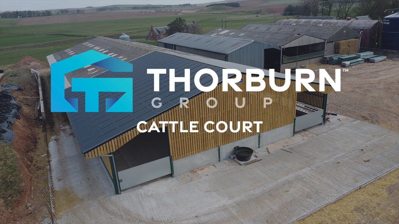 Timelapse of 21m x 18m Cattle Court | Thorburn Group