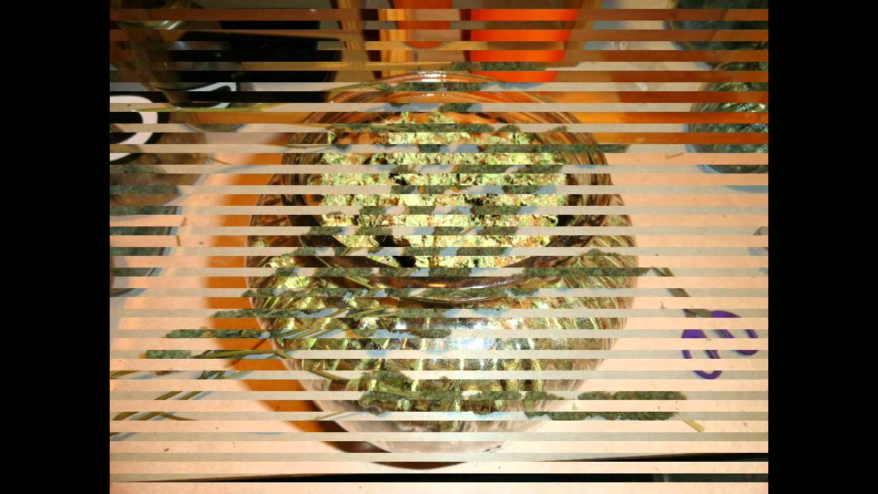 Hashplant Haze Harvest