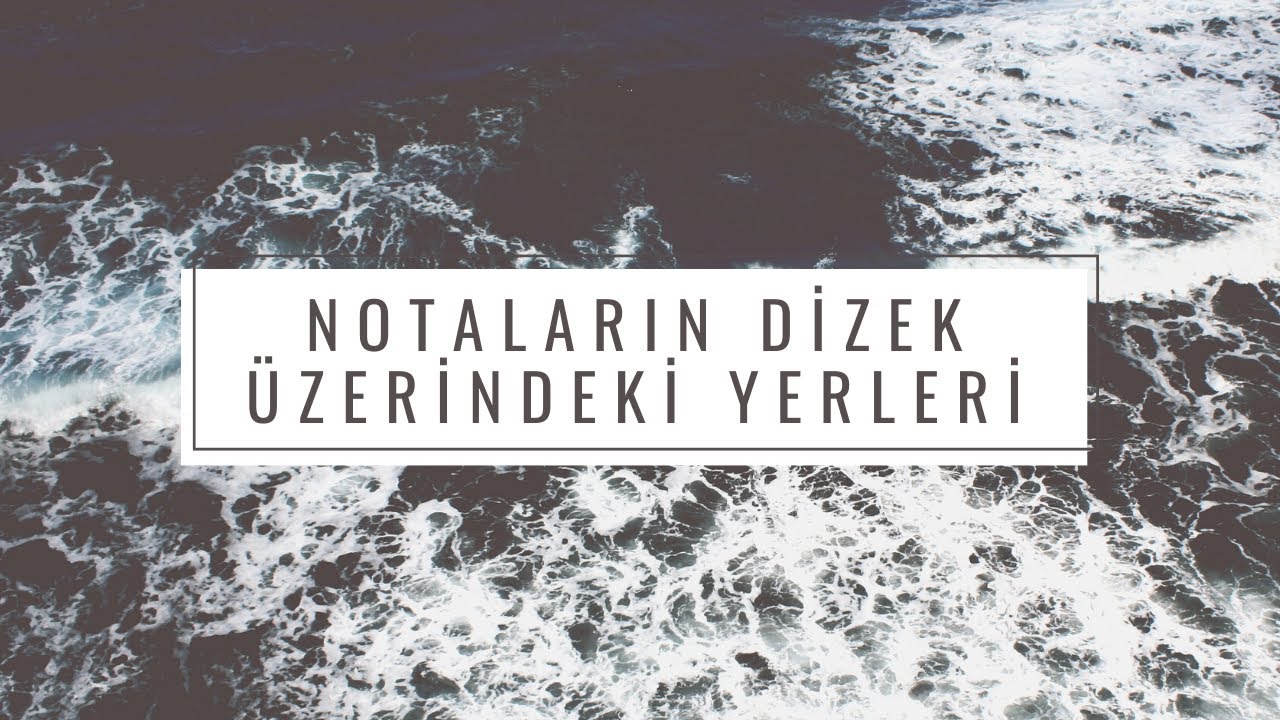 Notalar ve Dizek Üzerindeki Yerleri - Temel Seviye - Ortaokul Lise Müzik (www.muzikteorisi.com)