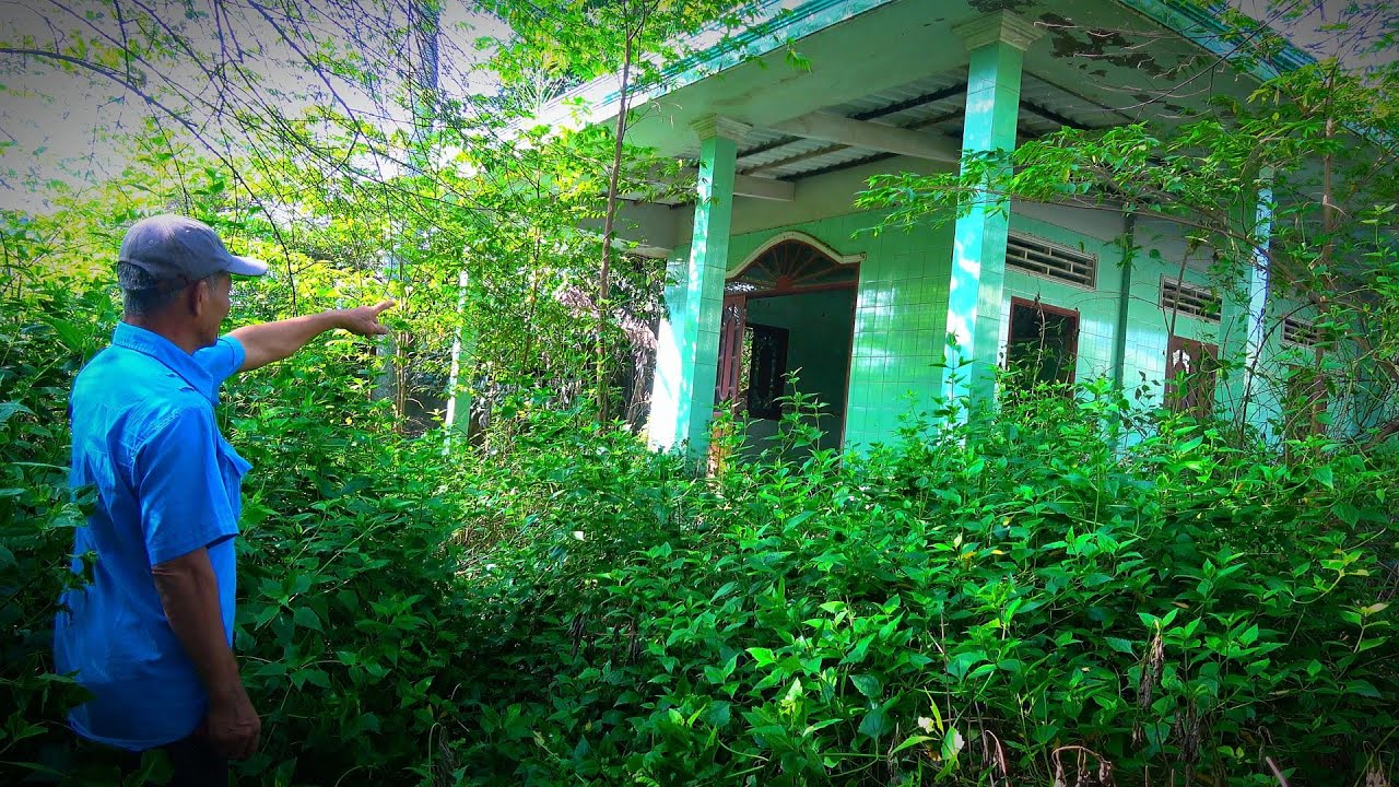 Vietnamese-American Man Returns to Old House After 20 Years, Danger from Rotten Coconut Tree