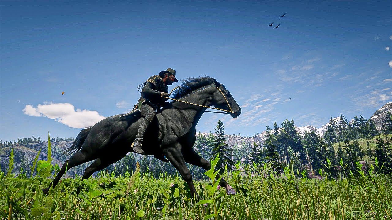 9 Best, fastest & Rarest Wild horse breed location in Red Dead Redemption 2