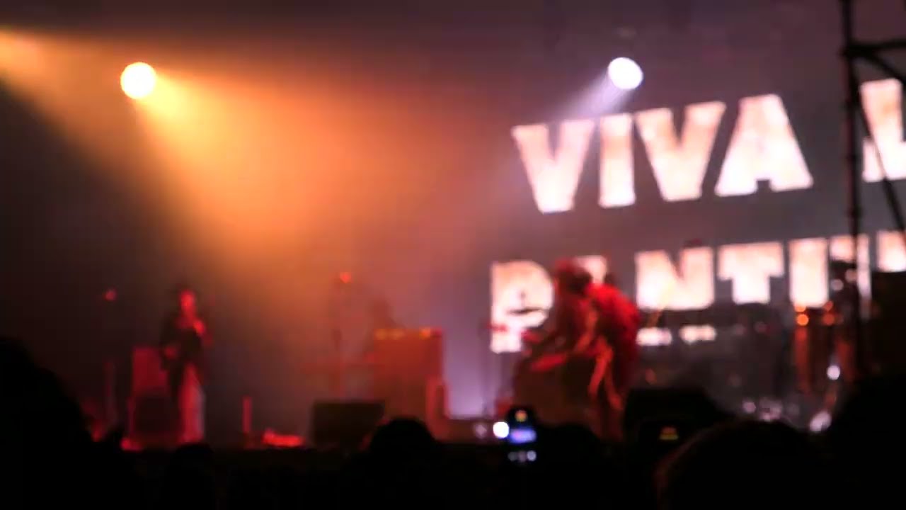 The panturas @ Fuji Rock Festival 2025.7.24.(THU)