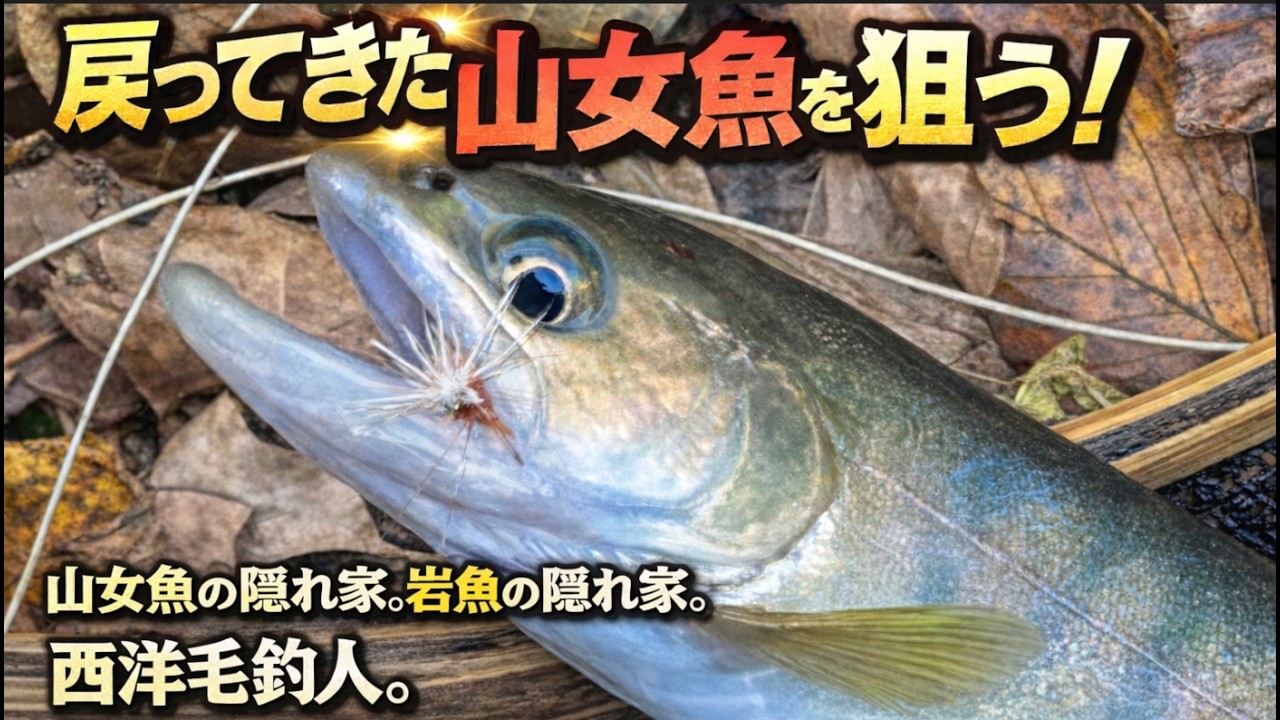 【山女魚の隠れ家。岩魚の隠れ家。】赤久縄2025 11 12（23）