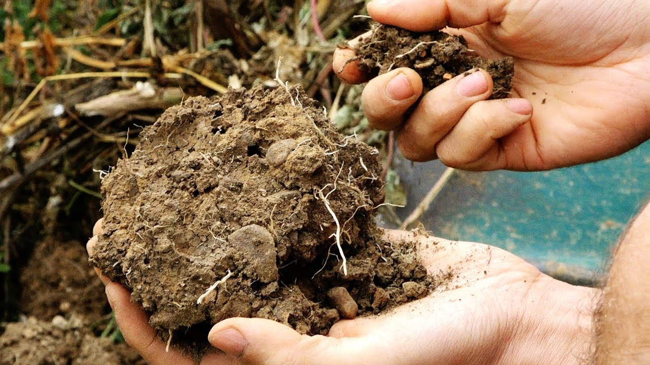 Video 3/12 Perma 2  - Le Sol (1): Itinéraires techniques en maraîchage sur sol vivant - Can la Haut