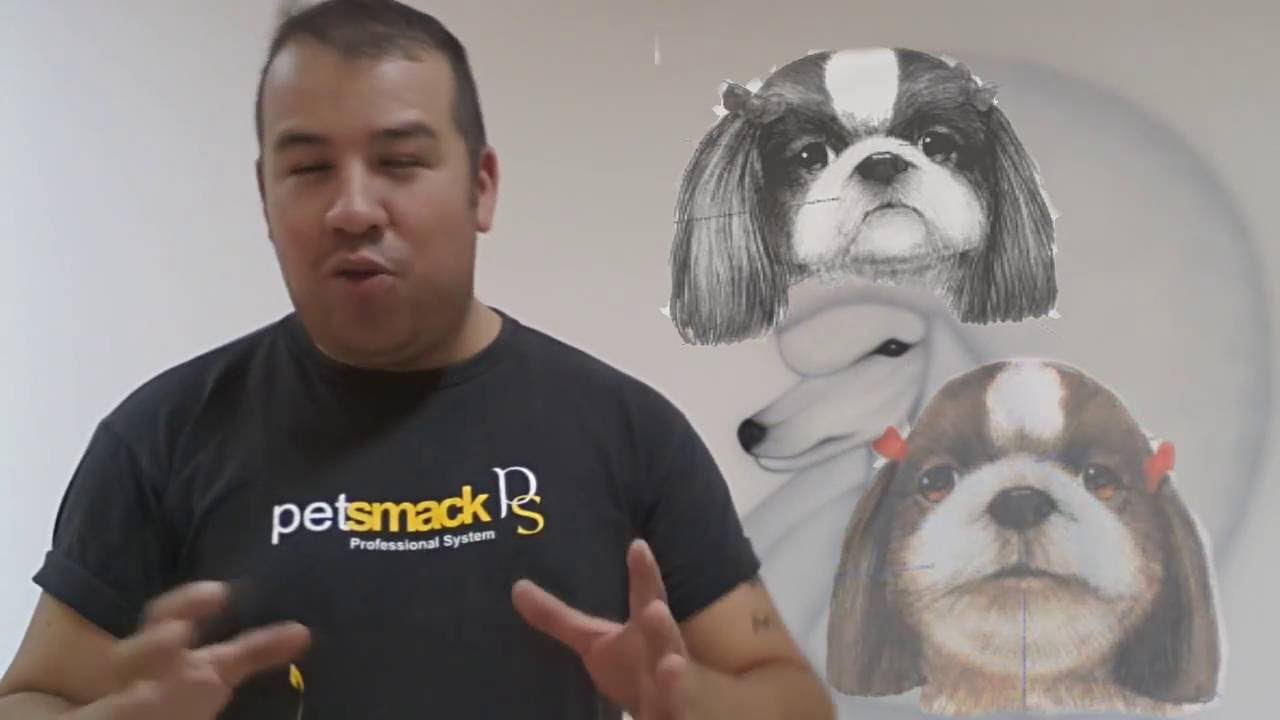 Tosa bebe rostinho e bigode by  Miguel Tomé