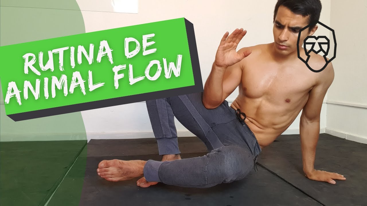 Rutina de Animal Flow 25 min (aprende a hacer 2 mini-flow) (+ CALENTAMIENTO)