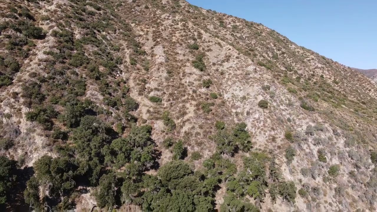 RANCHO IBARRA 2022