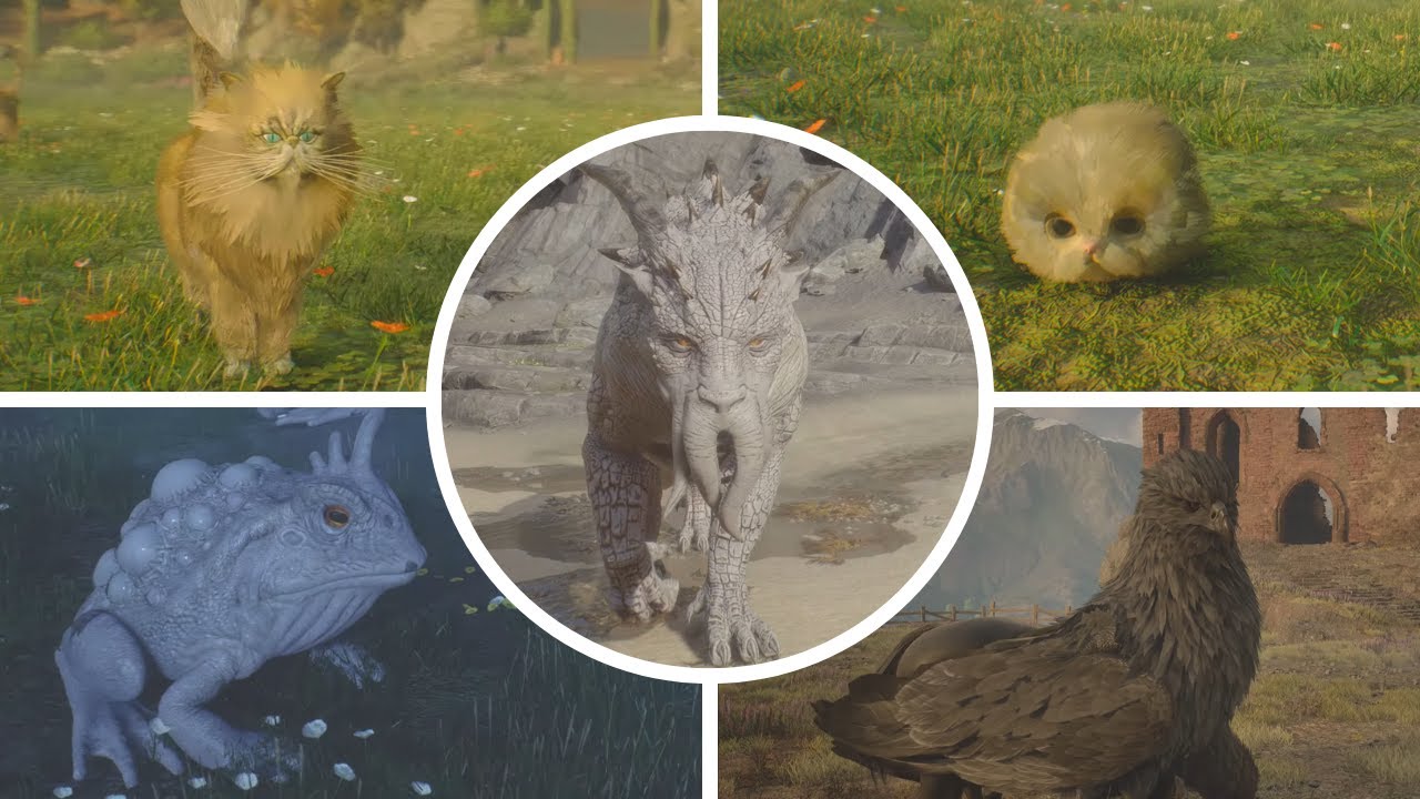 Hogwarts Legacy - All SHINY (Different Color) Beasts Showcase [4K 60FPS] | Male, Female & Offsprings
