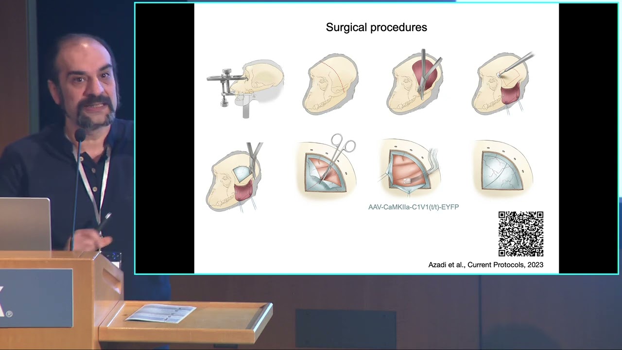 KIBM Generative Mind Symposium: How Do Visually Responsive Neurons Construct Visual Perception?