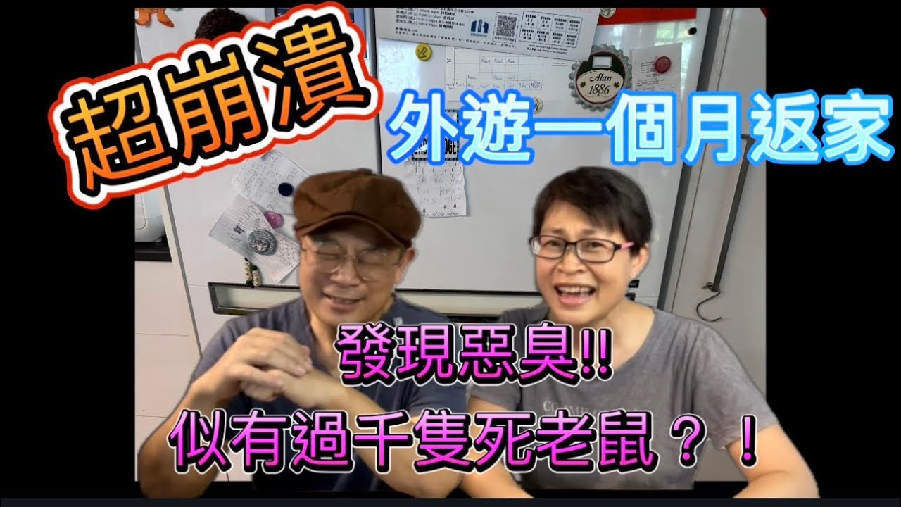 ［1262］超崩潰！外遊一個月返家，發現惡臭, 似有過千隻死老鼠？！咩事呀？