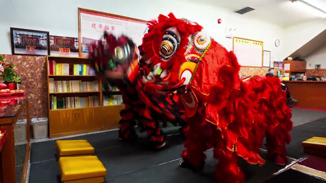 2026 Lunar New Year Eve Toronto Ching Kwok Temple Lion Dance - Chap Ying Tong