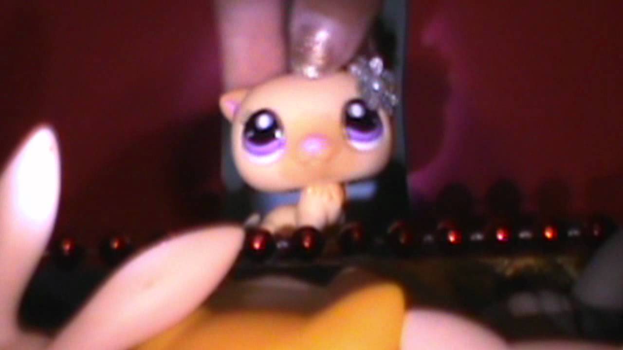 Littlest Pet Shop: The Show ♬