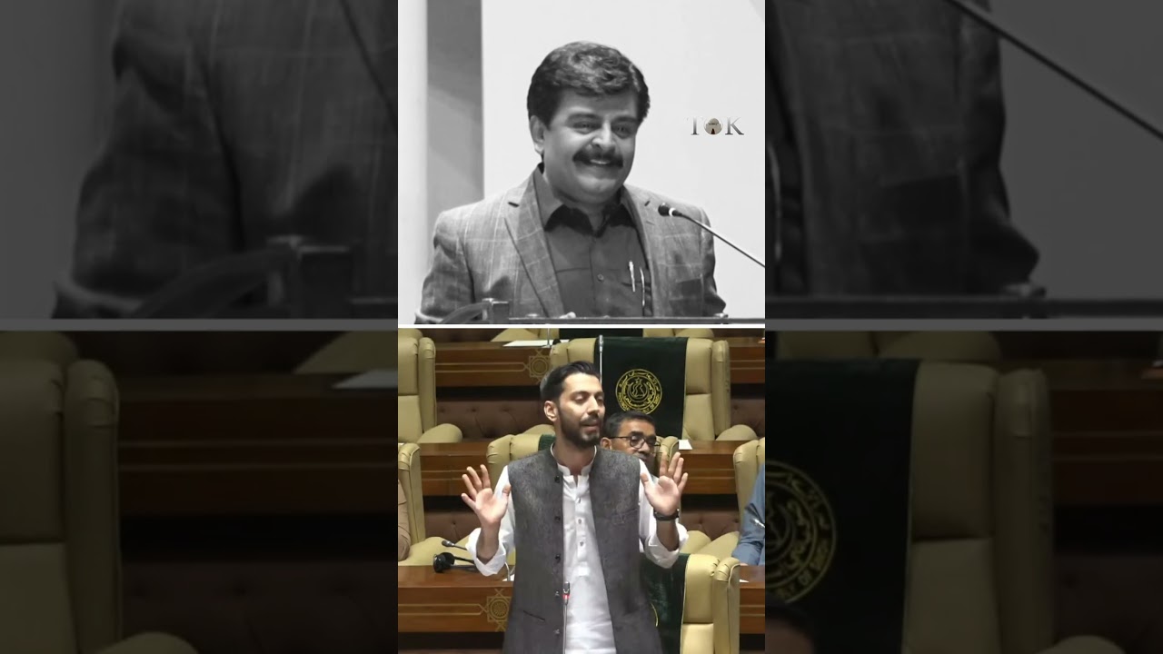 Лидер MQM Абдул Басит отвечает на заявление министра образования Синда об ИИ | Бюджет 2026
