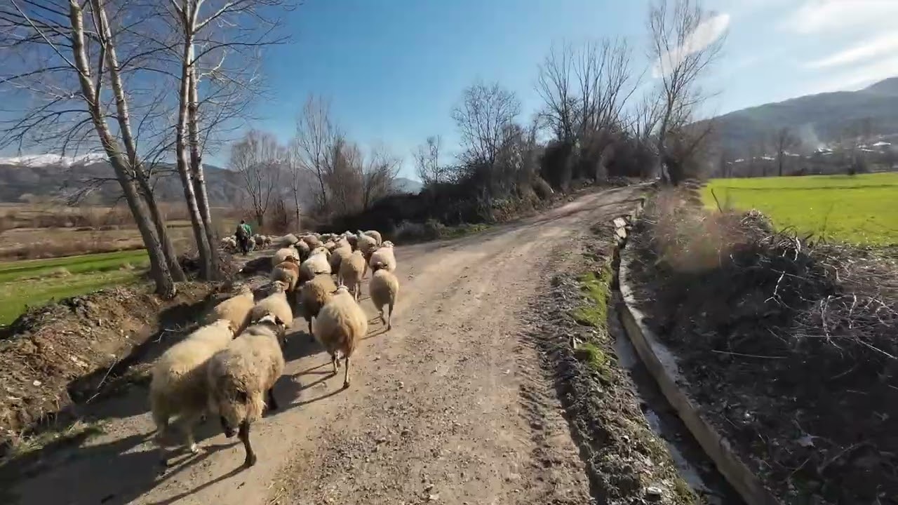 Вело прогулка по окрестностям Корчи #корча #албания #украинцывалбании