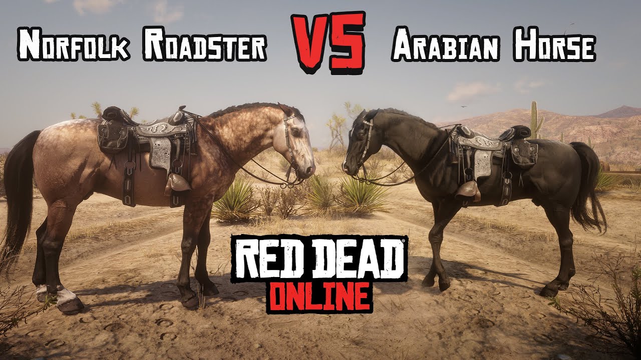 Norfolk Roadster (lvl.4) vs Arabian Horse (lvl.4) - Red Dead Online Сomparison | Best Horse - Test
