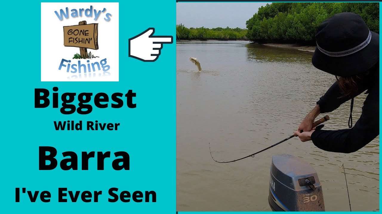 CAPE YORK BARRA FISHING - The biggest barra I have ever seen.