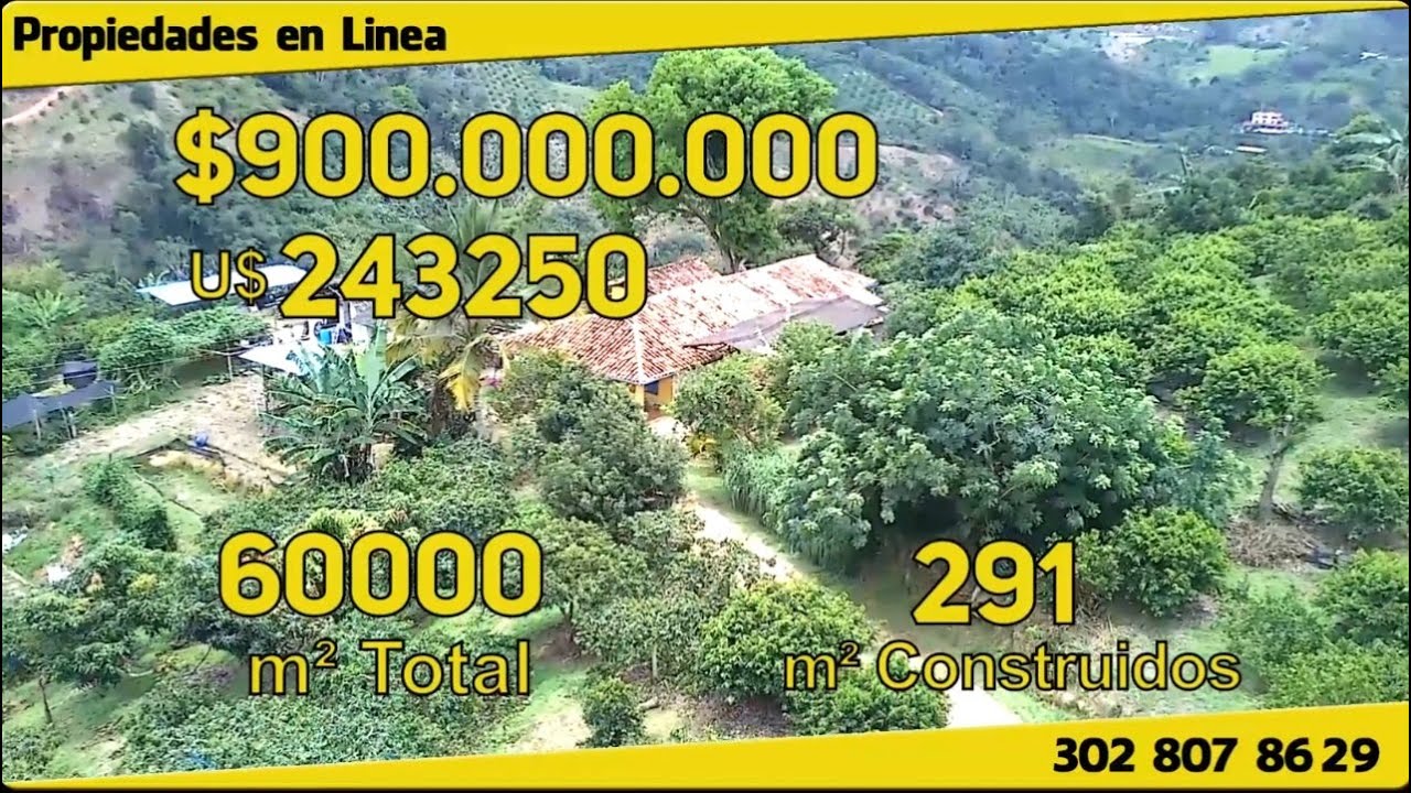Venta de Espectacular finca productora en Lebrija, Santander Colombia de 6 hectáreas.