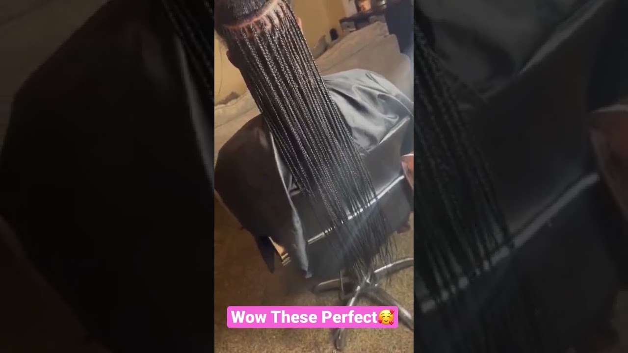 Small Knotless Box Braids | Artryssa Glam Tresses #shorts #knotlessbraids #trending