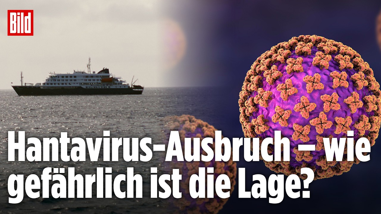 Hantavirus erkl&auml;rt: Experte warnt vor Gefahr auf Kreuzfahrtschiff