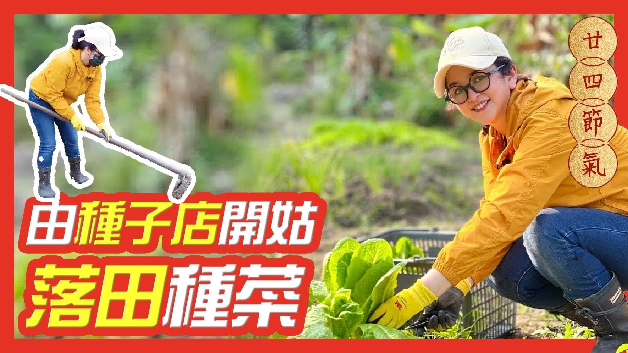 Gloria Yip 葉蘊儀 - 廿四節氣之春分 了解八十多年歷史的上環香港種子店  分享春分節氣養生花茶