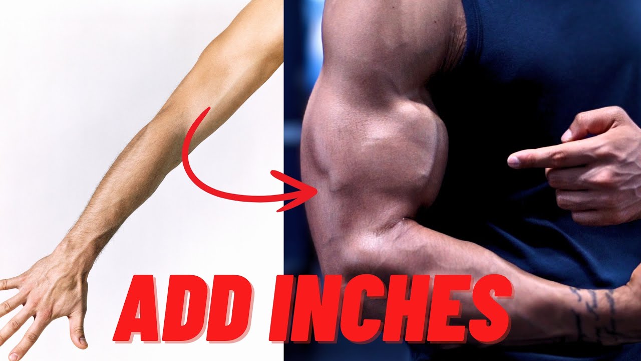 How to Get Big Biceps Fast - 5 Step Guide