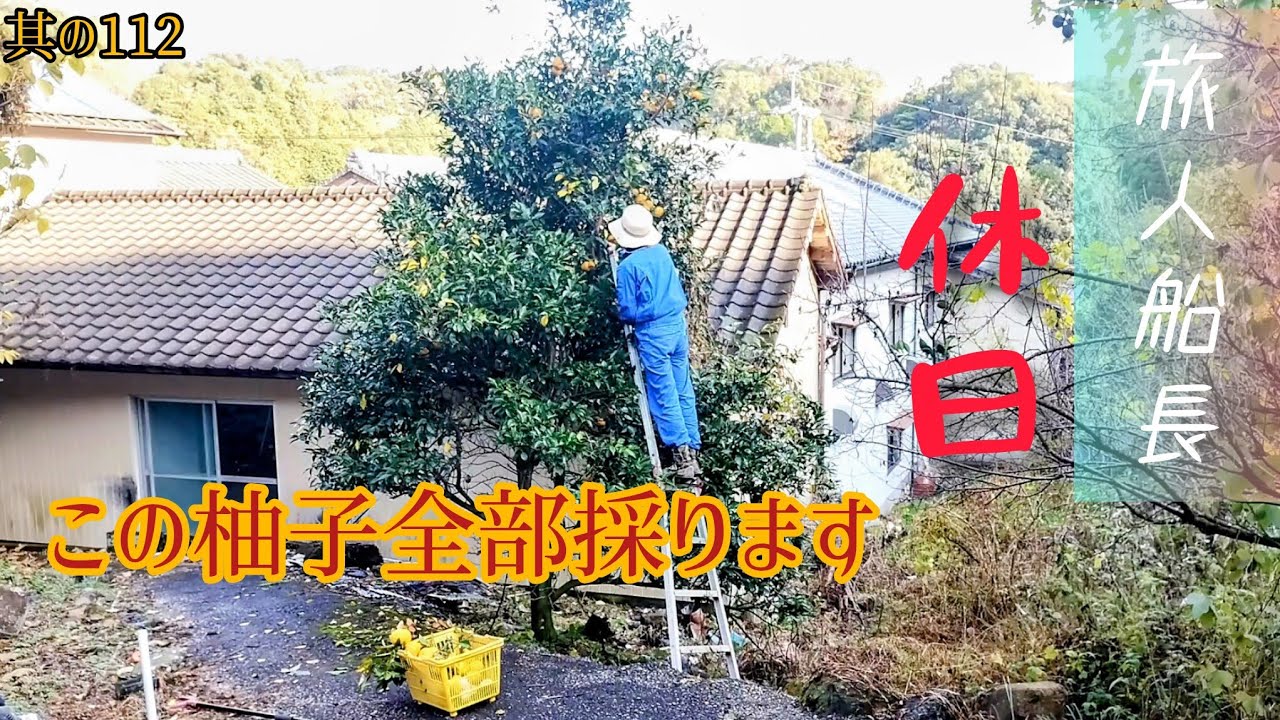 【柚子の取り放題】田舎暮らしの日常　其の112