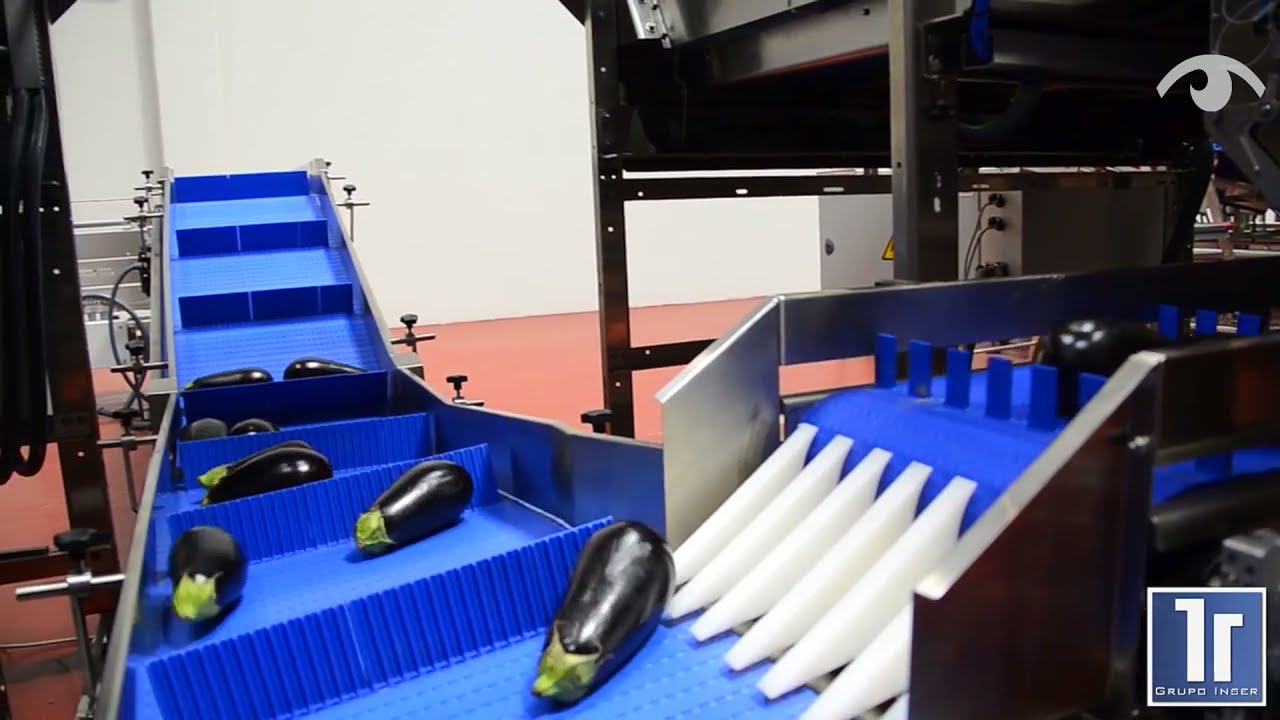 Clasificación automática de frutas y hortalizas con visión artificial
