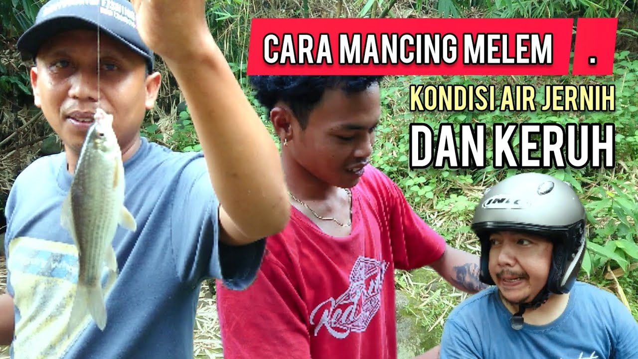 Cara mancing nilem melem di kondisi air jernih dan keruh umpan tempe banyuwangi