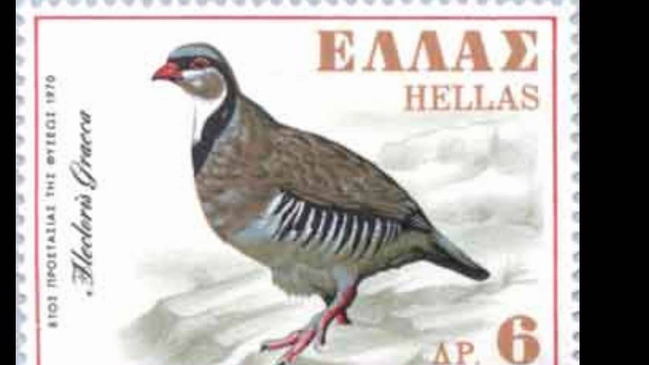 Περδικες, Μύρων Σκουλάς