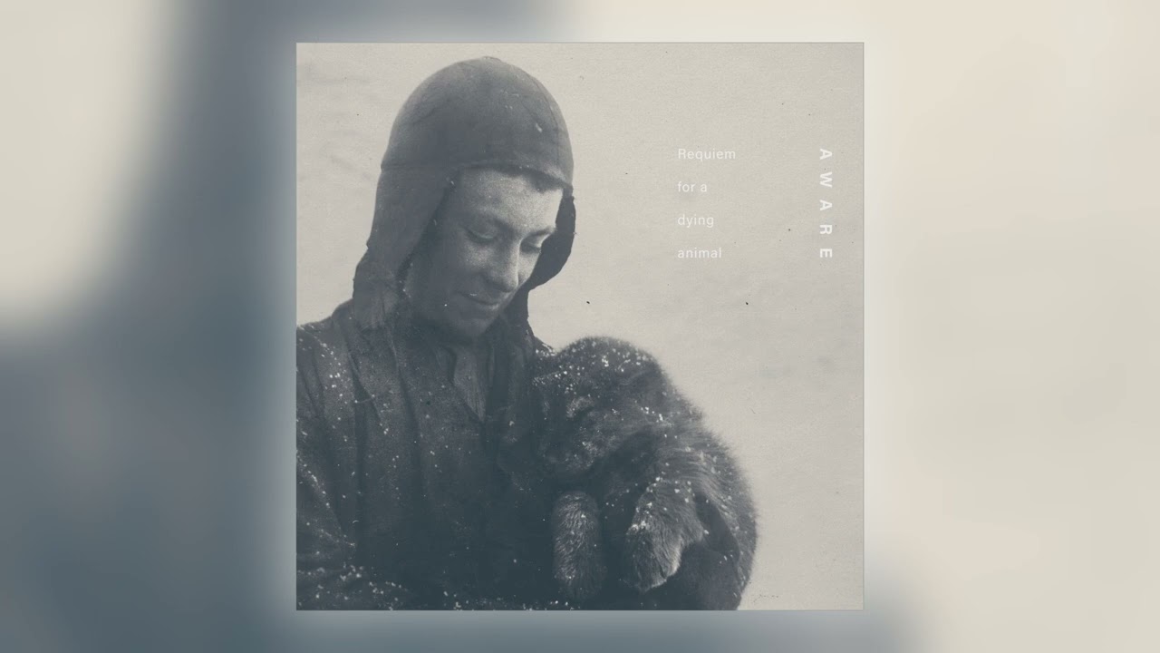 Aware - I [Audio]