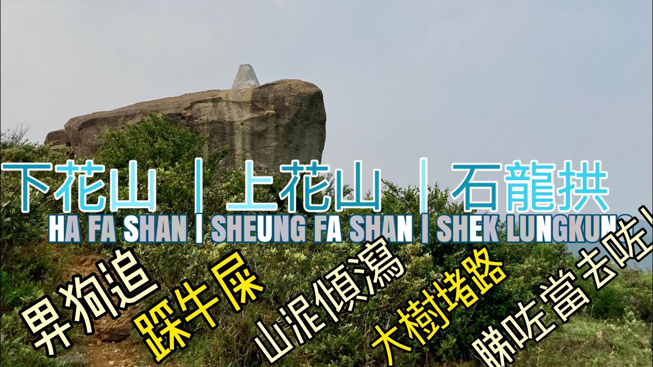 ［隊長VL行山日記 ］下花山 上花山 石龍拱 狼狽行山記錄 俾狗追屎牛屎 9號風球過後 山泥傾瀉大樹堵路 ｜不是路線分享 ｜睇咗當行咗 ｜山路變化多 計劃不可少 |⚠️長片慎入 ⚠️畫面不穩 介意慎入